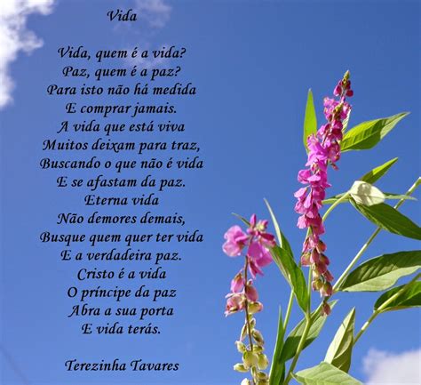 Terezinha Tavares Poema Vida