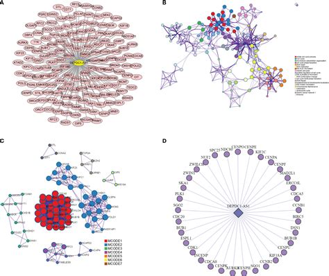 Frontiers Construction Of A Co Expression Network For Lncrnas And