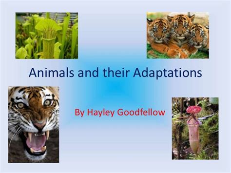 Animals And Their Adaptations