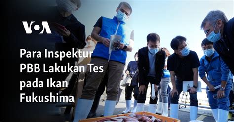 Para Inspektur Pbb Lakukan Tes Pada Ikan Fukushima