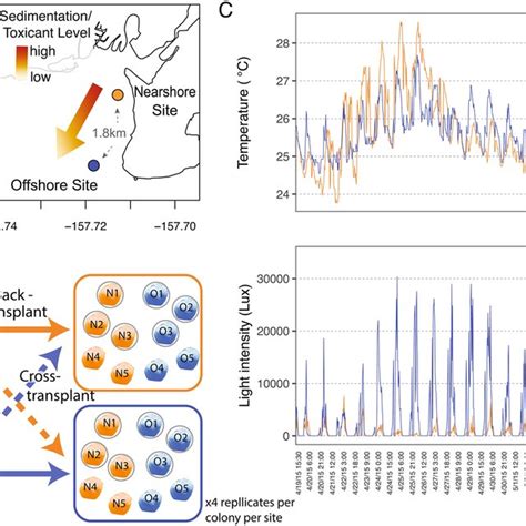 Physiological Results Of The Day Reciprocal Transplant Experiment Of