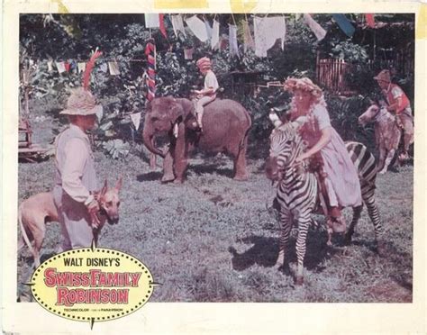 36 best images about Swiss Family Robinson 1960 on Pinterest | Disney ...