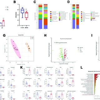 Nafld Induced By Hfd With Gut Microbiome And Metabolic Disorders