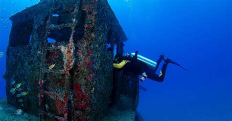 Scuba Diving In Khor Fakkan Für Zertifizierte Taucher Getyourguide