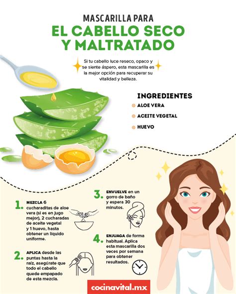 Remedio Casero Para Cabello Seco Y Maltratado Sin Brillo Artofit