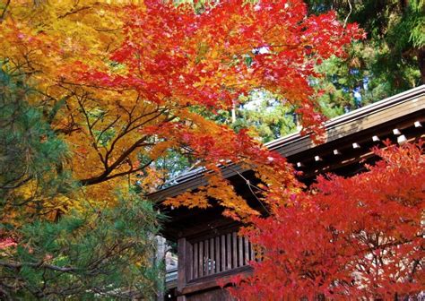 Otoño en Japón Fechas y Dónde Ver Momiji 2024