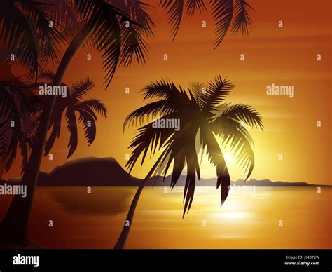 Vector Palm Trees Silhouette With Orange Sunset Ocean And Rocks Stock Vector Image And Art Alamy