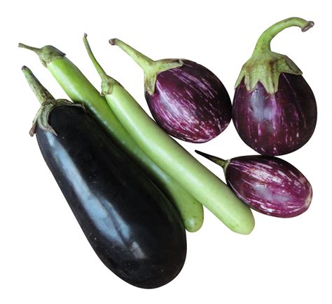 Eggplant Transparent Png Pictures Free Icons And Png Backgrounds