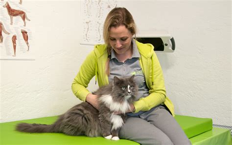 Vitalitier Praxis F R Tiertherapie Physiotherapie Hunde Pferde Katzen