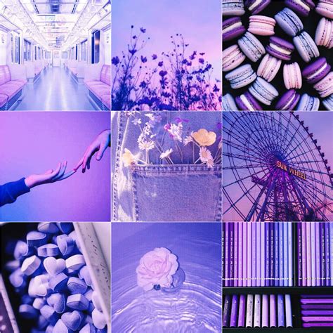 Purple Moodboard Cute Aesthetics Amino