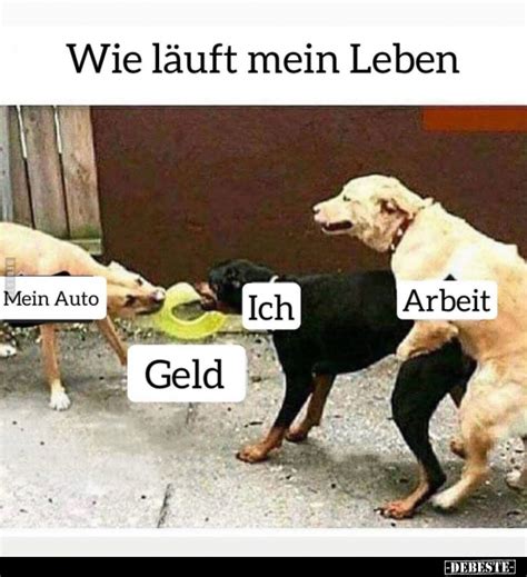 Wie läuft mein Leben DEBESTE de