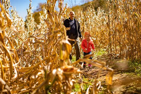 Boone's Fall Bucket List | Things to Do this Autumn in Boone, NC