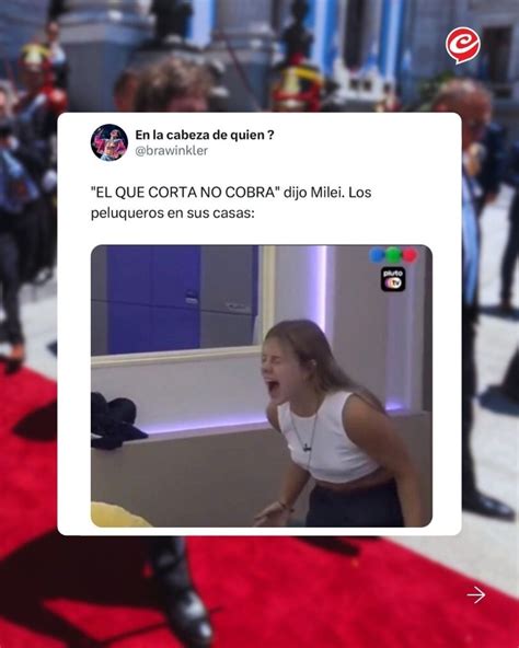 Los Memes De La Asunción Presidencial De Javier Milei En Una Jornada Histórica Crónica