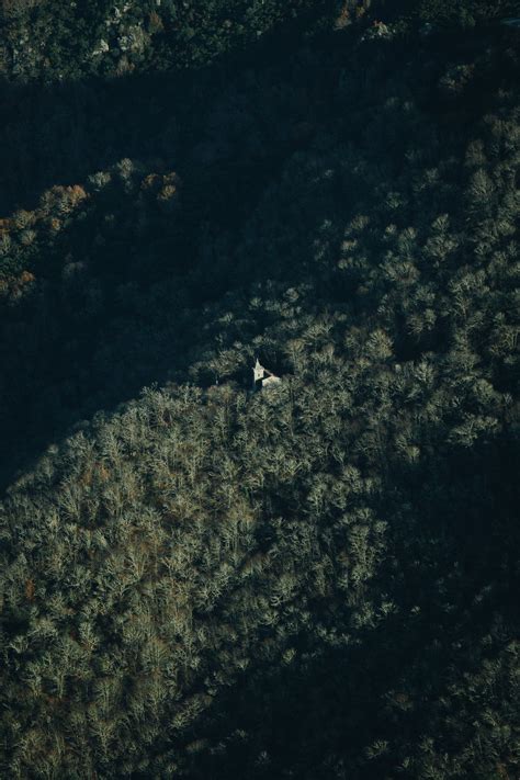 Aerial Photography of Forest · Free Stock Photo