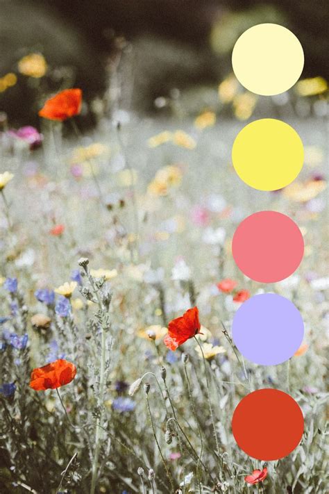 Bright And Romantic Flower Field Color Palette