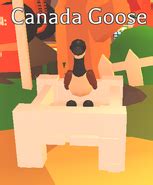 Canadian Goose | Adopt Me! Wiki | Fandom