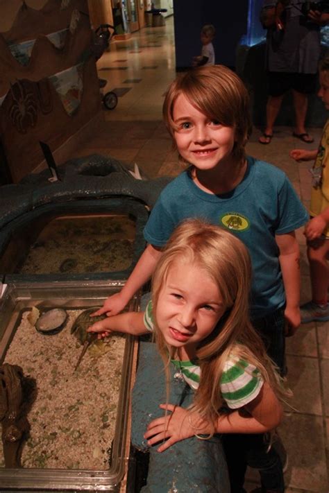 Taking your kids to the Butterfly Pavilion in Colorado