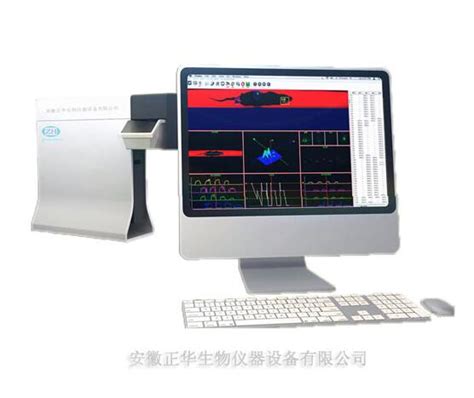 步态分析系统 小鼠步态分析系统报价价格性能参数图 正华生物器材网