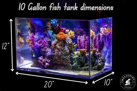 What Are The Dimensions Of A 10 Gallon Fish Tank Measuring Stuff