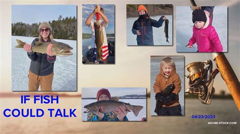 Big Ol' Fish: If Fish could Talk | newscentermaine.com