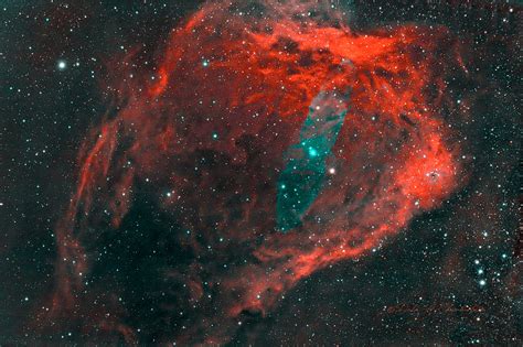 Sh2 129ou4 The Flying Bat And The Squid Nebulae Chamberlain Observatory