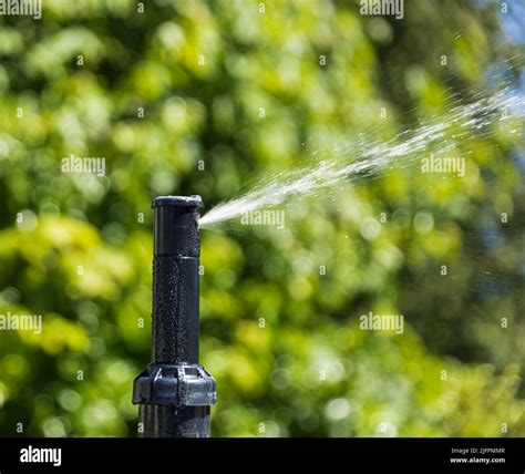 Automatische Sprinkler Zur Bew Sserung Von Gras Bew Sserungssysteme F R