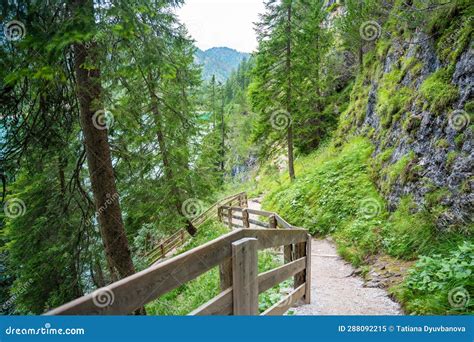 Path For Walking Around The Braies Lake Or Pragser Wildsee In The