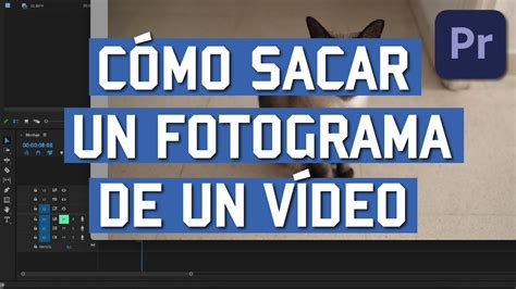 Cómo sacar un FOTOGRAMA de un VÍDEO en Premiere YouTube