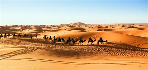 Things to Do in Sahara Desert in 2024 - Top Attractions, Local Food ...