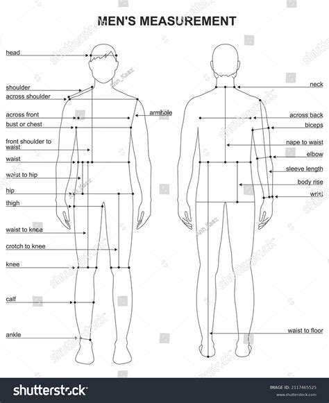 21,209 Male Body Measurement Images, Stock Photos & Vectors | Shutterstock