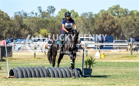 Horseland Kelmscott Jump X 60cm Vickiphotos Photography By Vicki