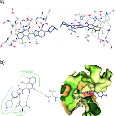 A Cartoon Representation Of The Crystallographic Structure Of Complex