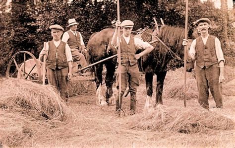 Farming In Swanbourne Over The Years Uk