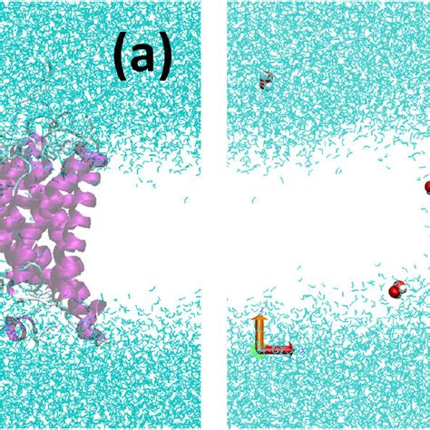 Snapshot From The MD Simulation Where Six H2O2 Molecules Separated By