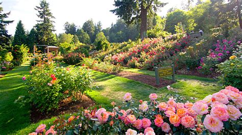 Portland Rose Garden Landtek Contractors Puerto Rico