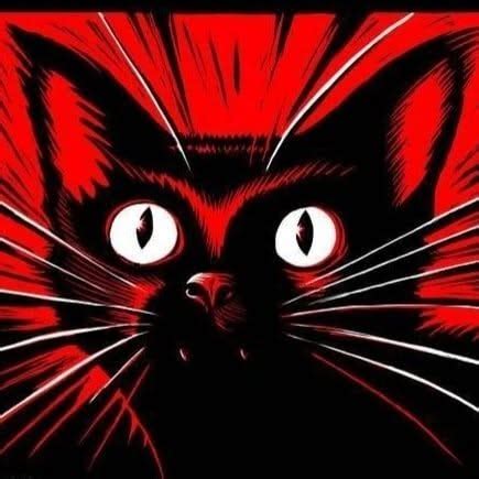 Syndicalist_Cat (@syndicalist_cat) on Threads