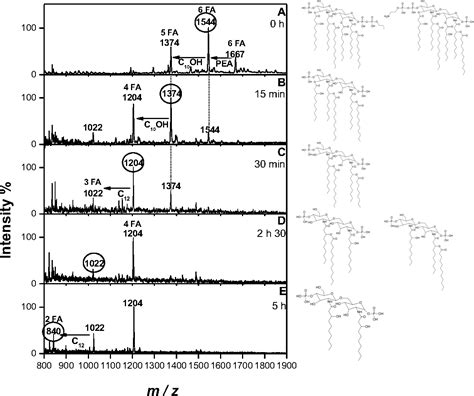 Figure 2 From Structural And Biological Characteristics Of Different