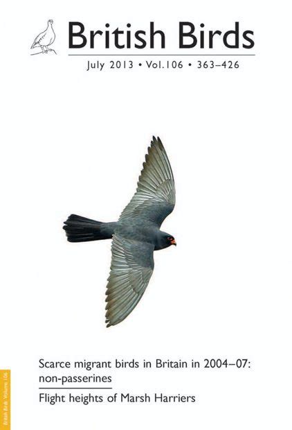 British Birds Report On Scarce Migrant Birds In Britain In 20042007