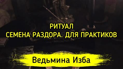 СЕМЕНА РАЗДОРА. ДЛЯ ПРАКТИКОВ ️ ВЕДЬМИНА ИЗБА - МАГИЯ - YouTube