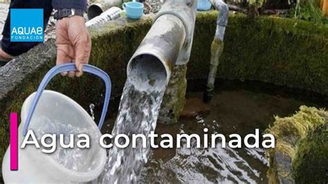 Beber Agua En Mal Estado 2025