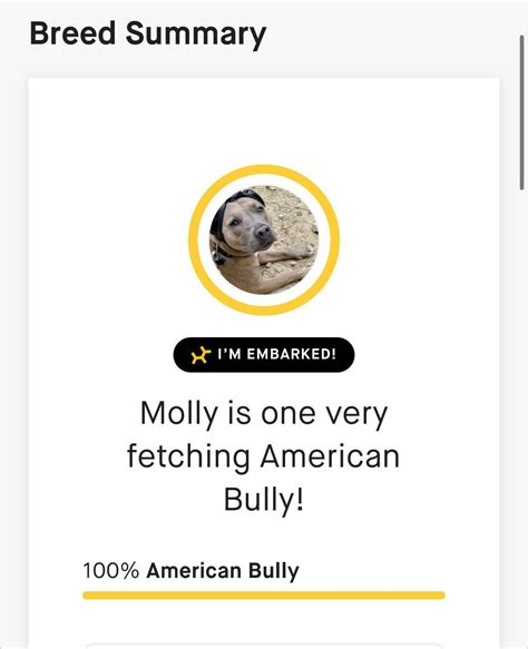 Anyone Else Have Their Pittiepit Mixs Breed Changed By Embark My