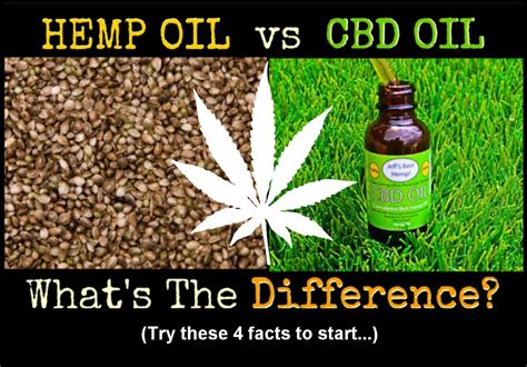 4 Key Differences Between Hemp Oil And Cbd Oil