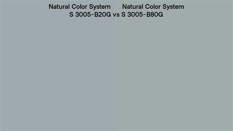 Natural Color System S 3005 B20g Vs S 3005 B80g Side By Side Comparison