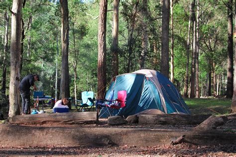 Thunderbird Park: High Ropes Course, Attractions & Camping | Tamborine Mountain, QLD