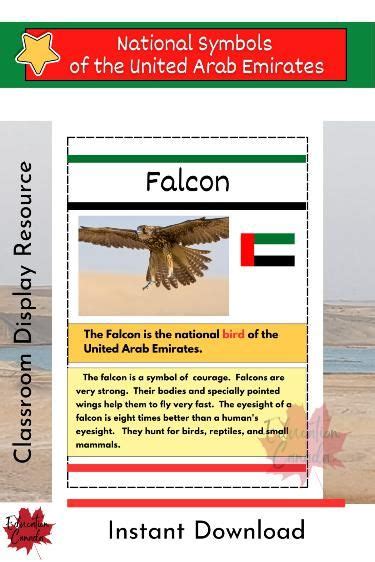 Uae National Symbols Classroom Display Resource In 2023 Classroom
