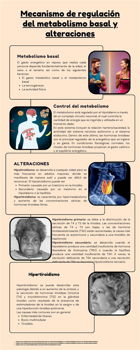 Mecanismo de regulación Control del metabolismo El metabolismo está