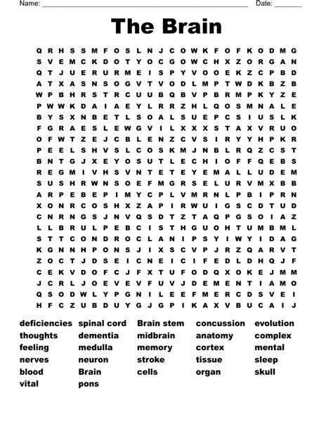 The Brain Word Search Wordmint