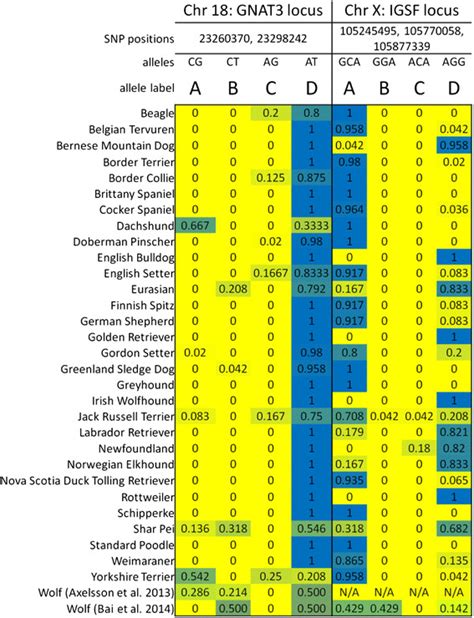 Haplotype distribution across dog breeds based on novel chr18 and X ... 