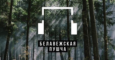 Белавежская пушча: аўдыягід