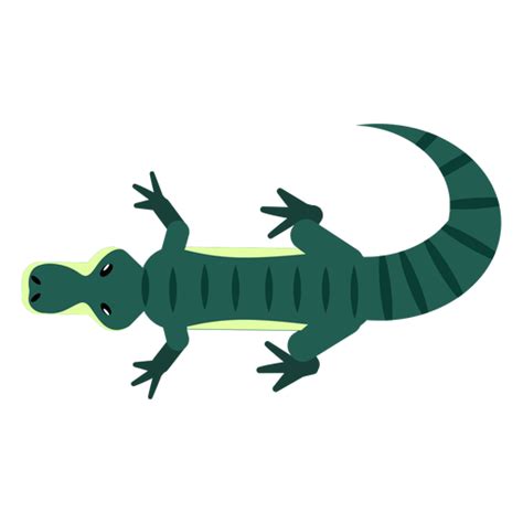 Design Png E Svg De Mandíbulas De Cauda De Crocodilo Com Listra De Crocodilo Achatadas E